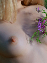 Una Teases With Lingerie In Wildflower Meadow Capturing Sunlit Pleasures - photo 18