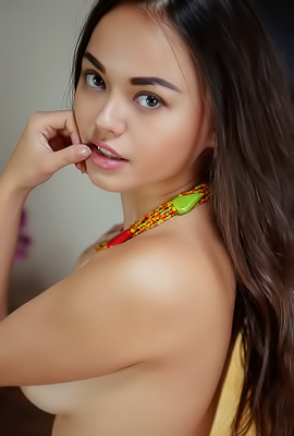 Li Moon Shows Us Her Sexy Shaved Pussy